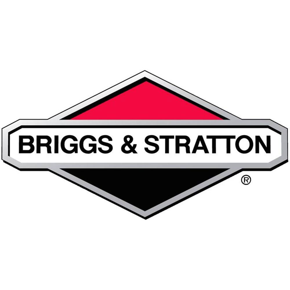 Briggs & Stratton - roue avant - 884107YP - Briggs and Stratton