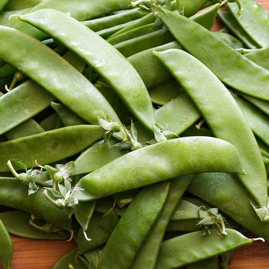 Promesse de Fleurs - Pois à rames Héraut mangetout - Pisum sativum le sachet de 250-300 graines environ (100g)