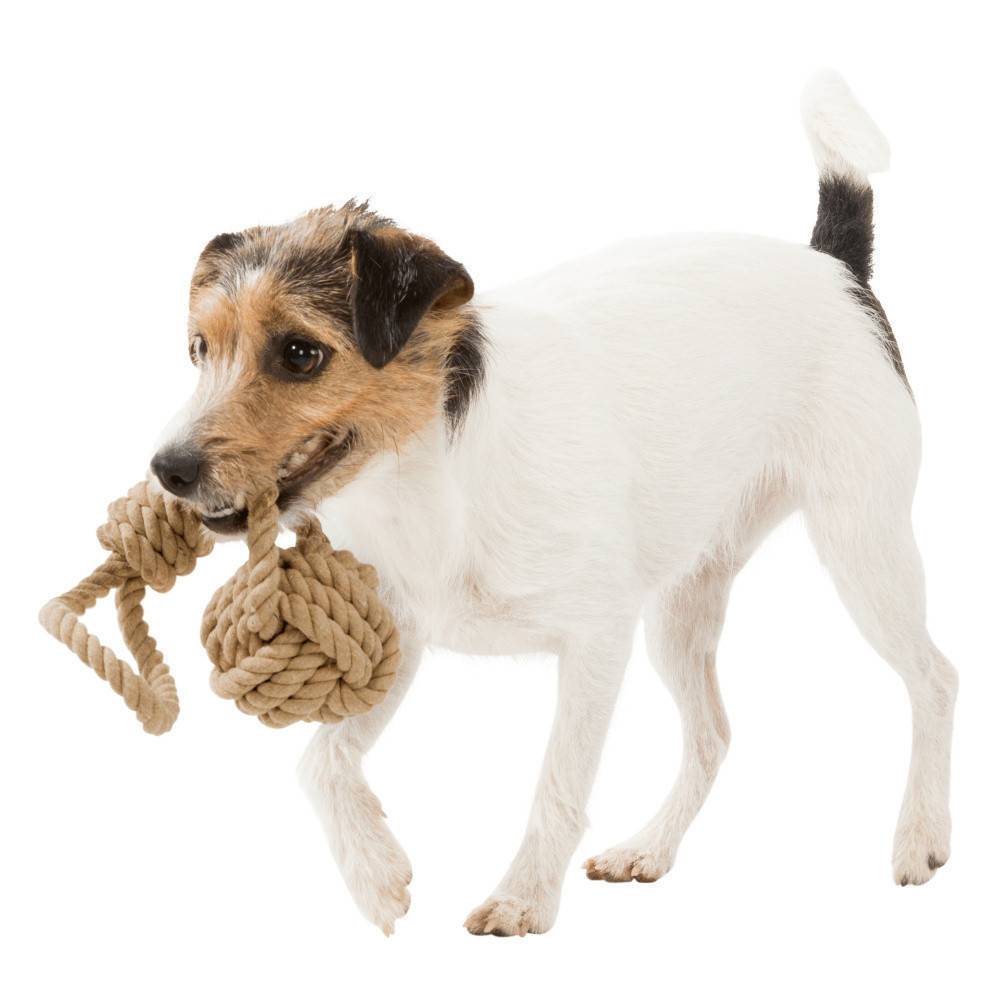 Corde de jeu avec balle tressée pour chien ø 8/35cm. - Imagen 5