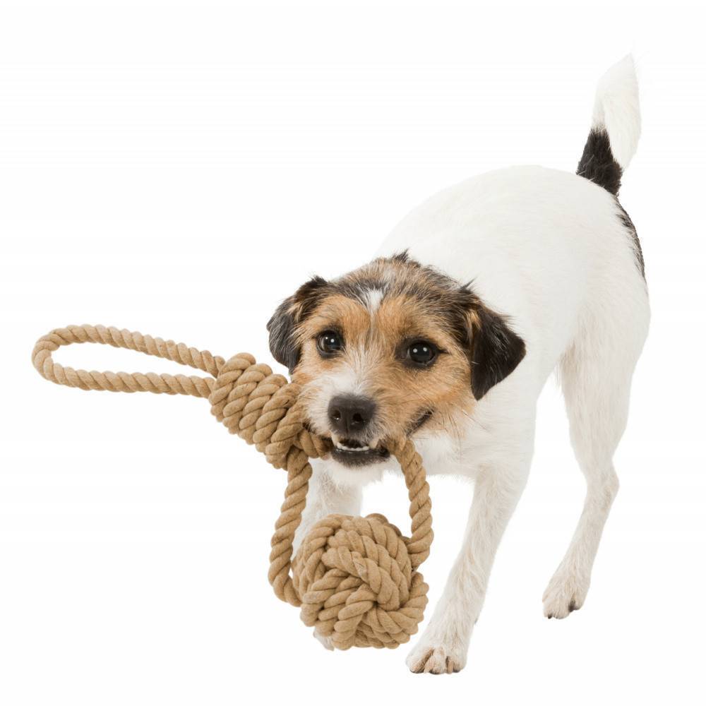 Corde de jeu avec balle tressée pour chien ø 8/35cm. - Imagen 3