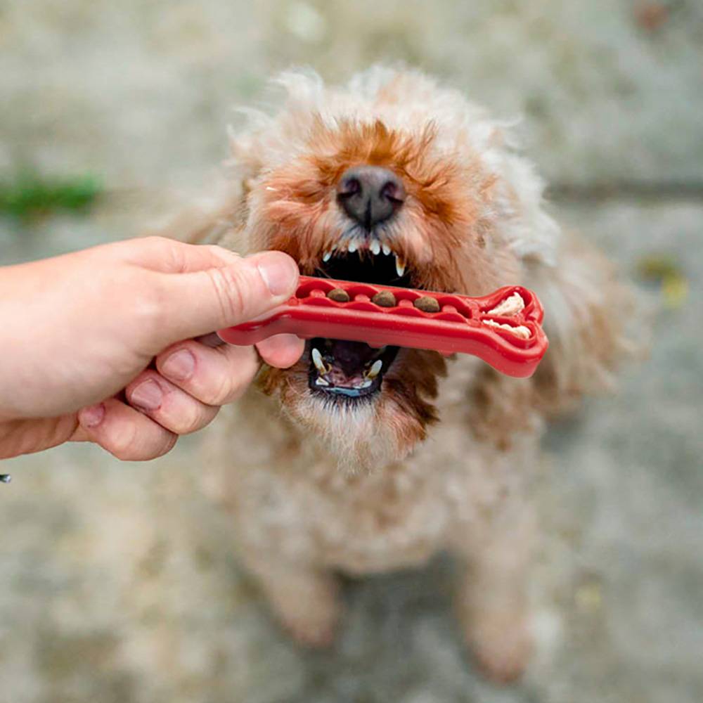 Ferplast - Ferplast Jouet Chien, Os Distributeur Croquettes Friandises pour Chien, en Matériau Durable à Mâcher, Arôme de Viande, pour Hygiène Dentaire, SMILE Os - Imagen 5