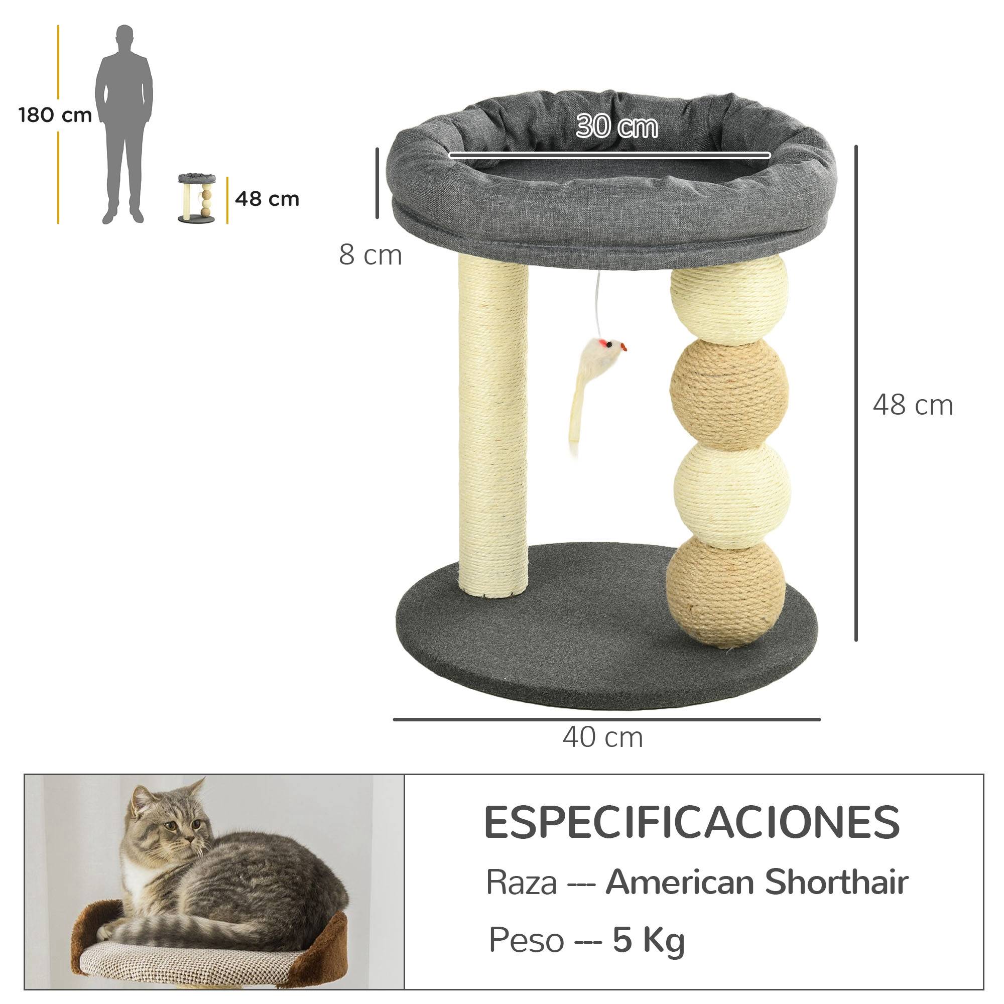Arbre à Chat Compact en Sisal pour Petit Chat avec Niche et Poteaux à Griffer 48 cm Gris Beige - ComfortXL Outdoor Living - Image 5