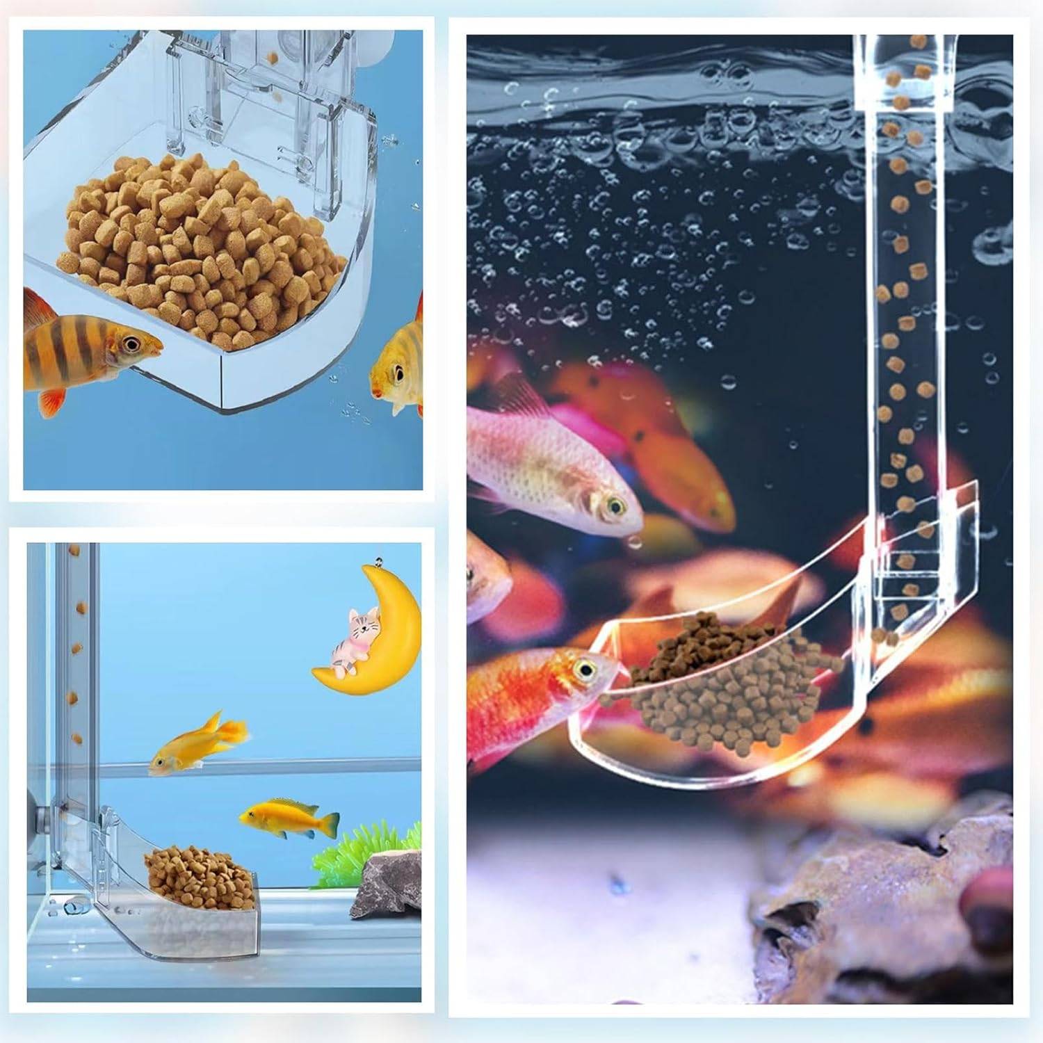 Plateau de Nourriture Transparent pour Aquarium & Crevettes S DtopbuyAge - Image 5