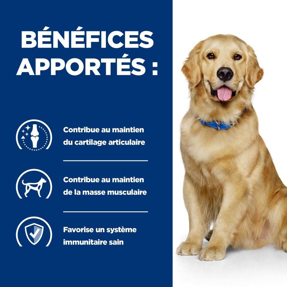CROQUETTES CHIEN ADULT PRESCRIPTION DIETS J/D MOBILITY - HILL'S 16 kg - Image 4