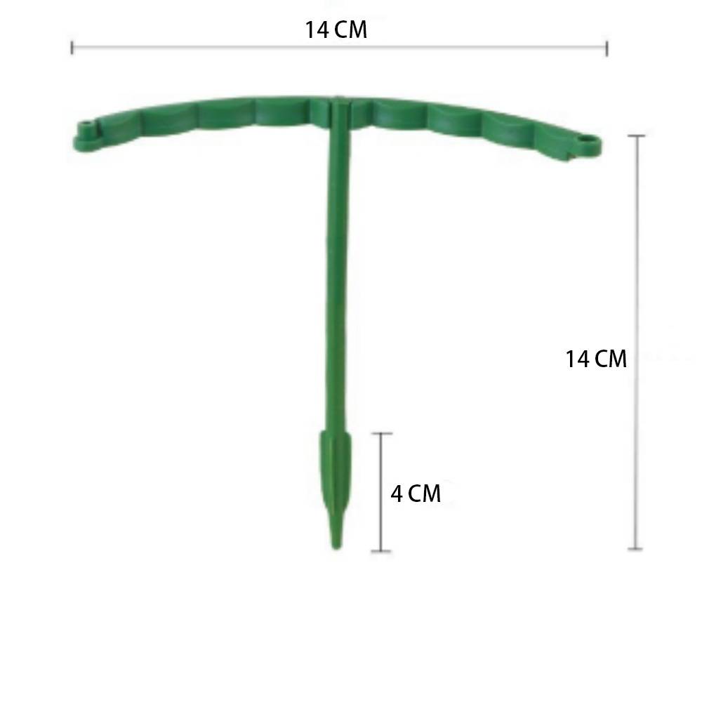 Tuteurs pour Orchidées et Plantes Délicates MCBOSON - Imagen 3