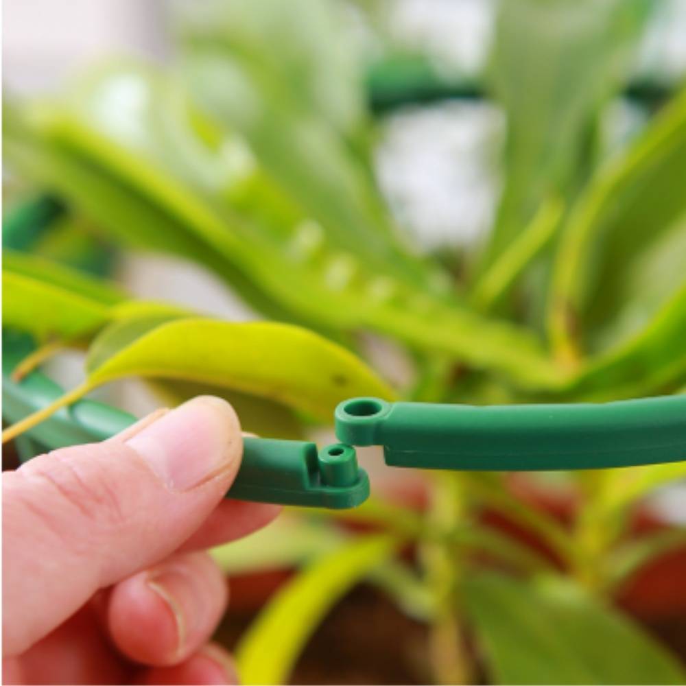 Tuteurs pour Orchidées et Plantes Délicates MCBOSON - Imagen 6