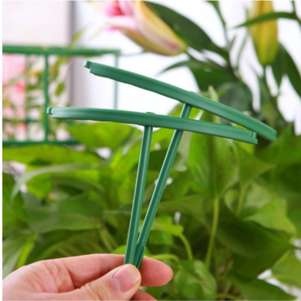 Tuteurs pour Orchidées et Plantes Délicates MCBOSON - Imagen 5