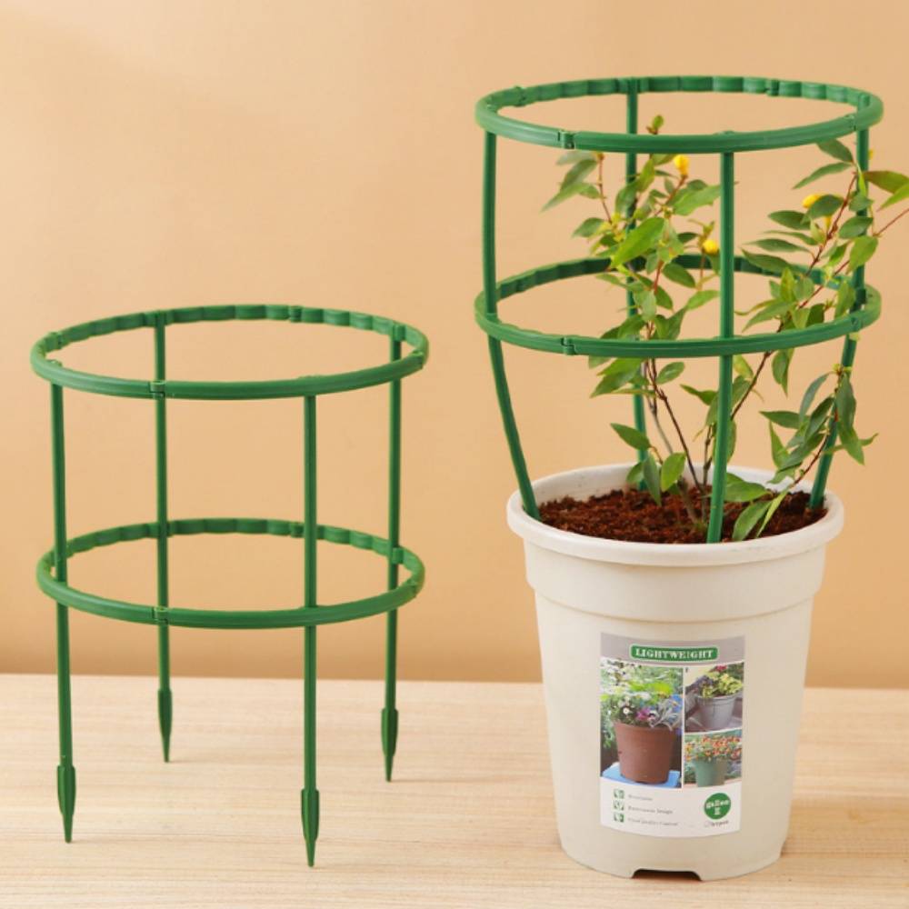 Tuteurs pour Orchidées et Plantes Délicates MCBOSON - Imagen 7