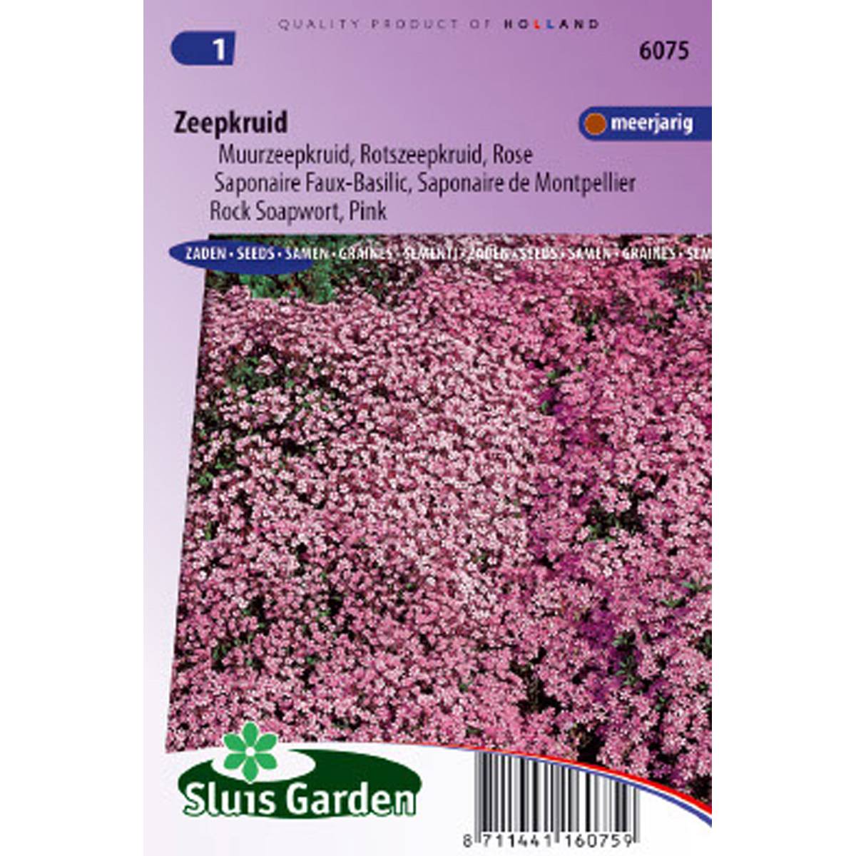 Graines de Saponaire de Montpellier - Saponaria ocymoides le sachet de 150 graines environ (0,3g)
