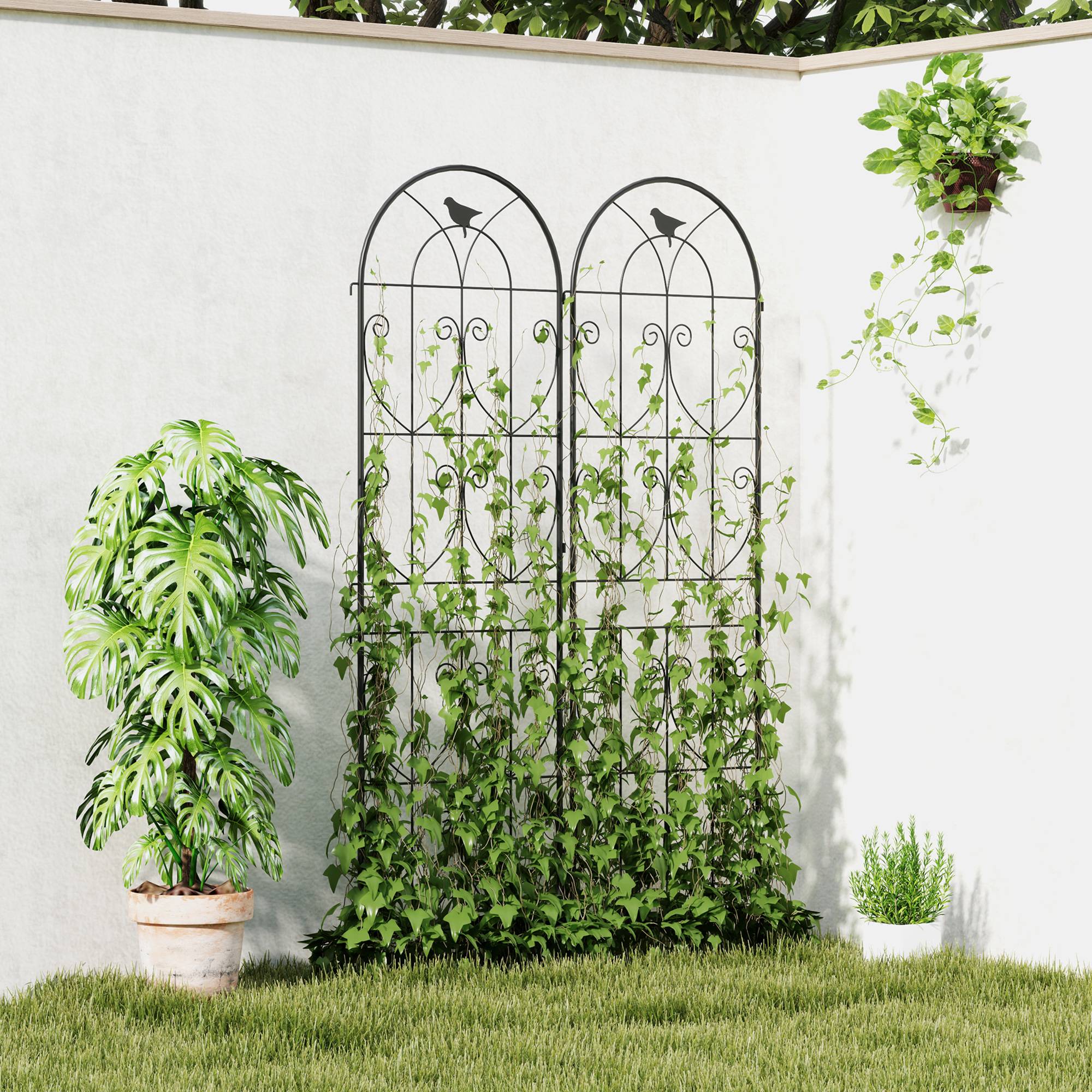 Treillis de jardin métal noir 50 x 1.3 x 180 cm - PANGIVO - Image 4