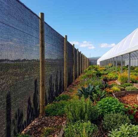 Plastidis - Filet Brise-vent - ombrage noir- 165 gr/m² - Long 47 m, Larg 6 m - Imagen 4