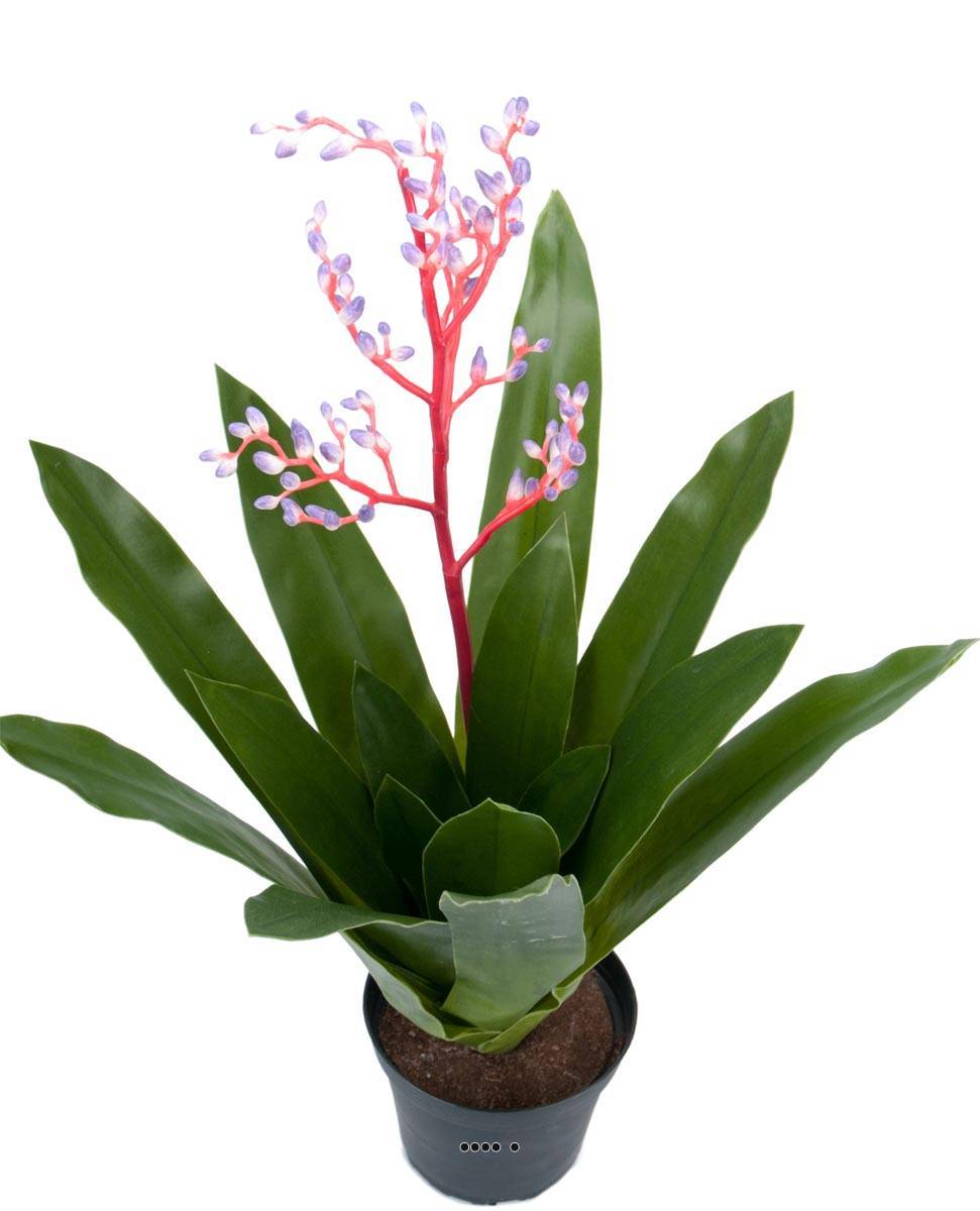 Artificielles - Bromélia artificielle en pot, avec bouton de fleurs, H 40 cm - Imagen 2