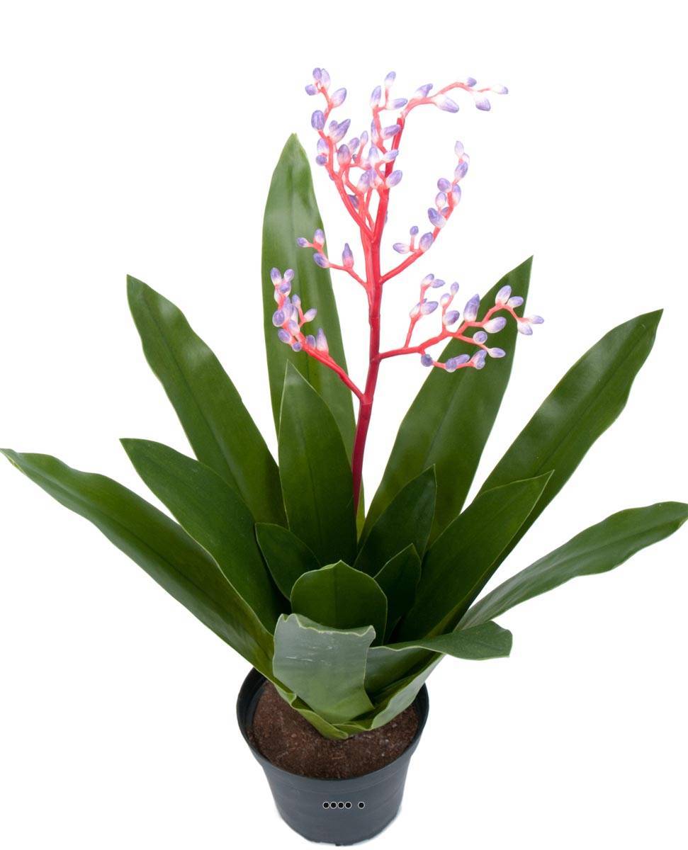 Artificielles - Bromélia artificielle en pot, avec bouton de fleurs, H 40 cm - Imagen 1