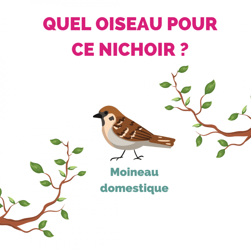Aubry Gaspard - Nichoir maison en bois pour oiseaux - Aubry Gaspard - Imagen 2