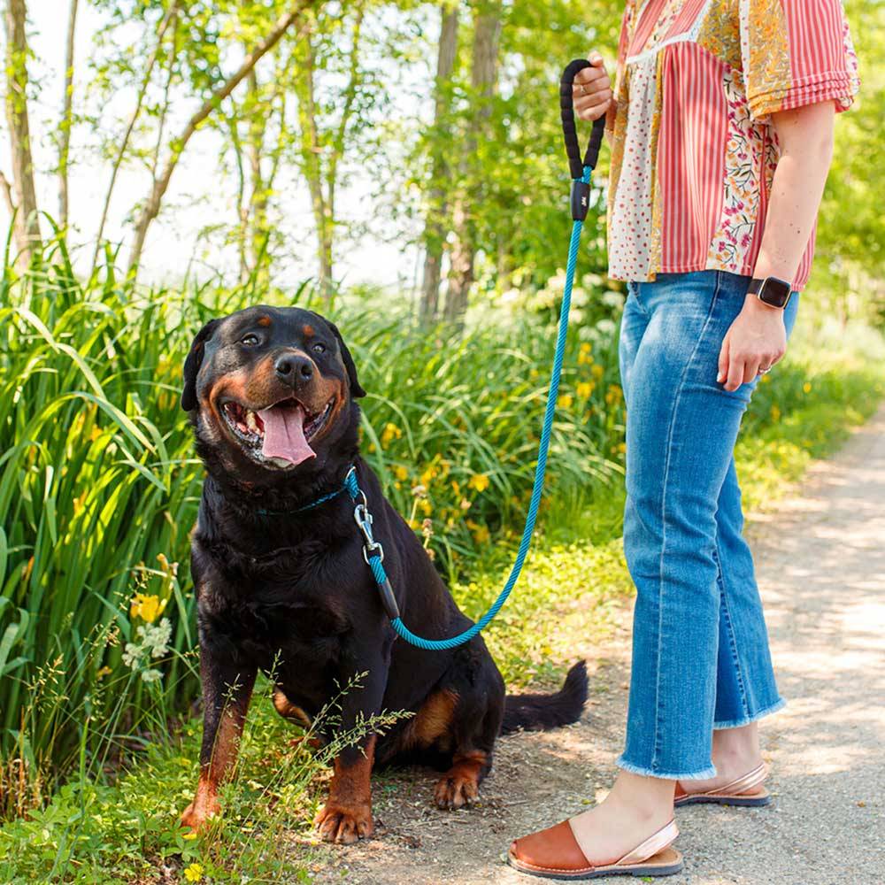 Ferplast - Laisse pour Chiens SPORT EXTREME G8/120, Longe en Nylon Robuste, Poignée Rembourrée Confortable, Marron-Noir - Imagen 2