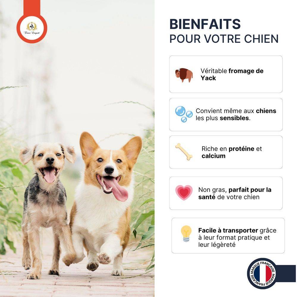 France Croquettes - friandise pour chien les macarons – 1kg  – 100% naturel carotte/luzerne/persil/graines de lin  – France croquettes - Imagen 3