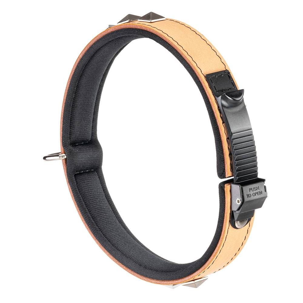 Ferplast - Collier pour Chiens GIOTTO LUXOR C25/49, en Cuir Véritable avec Clous Argentés - Imagen 3