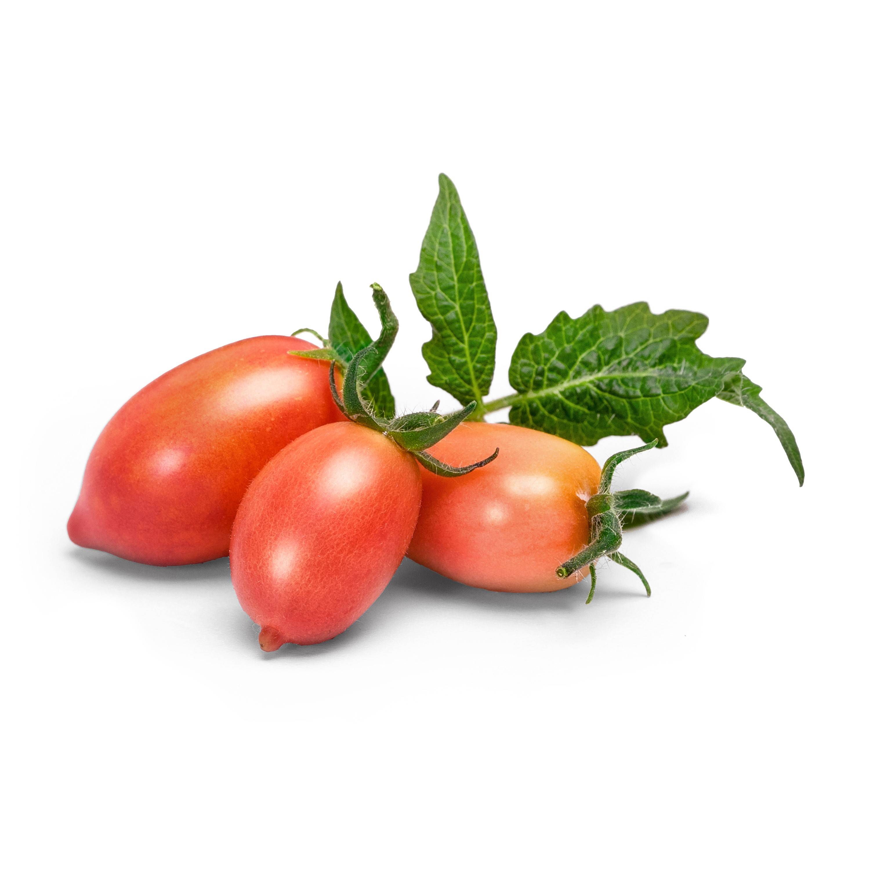Veritable - Lingot Mini tomate rose - Recharge prête à l'emploi - Véritable - Imagen 2