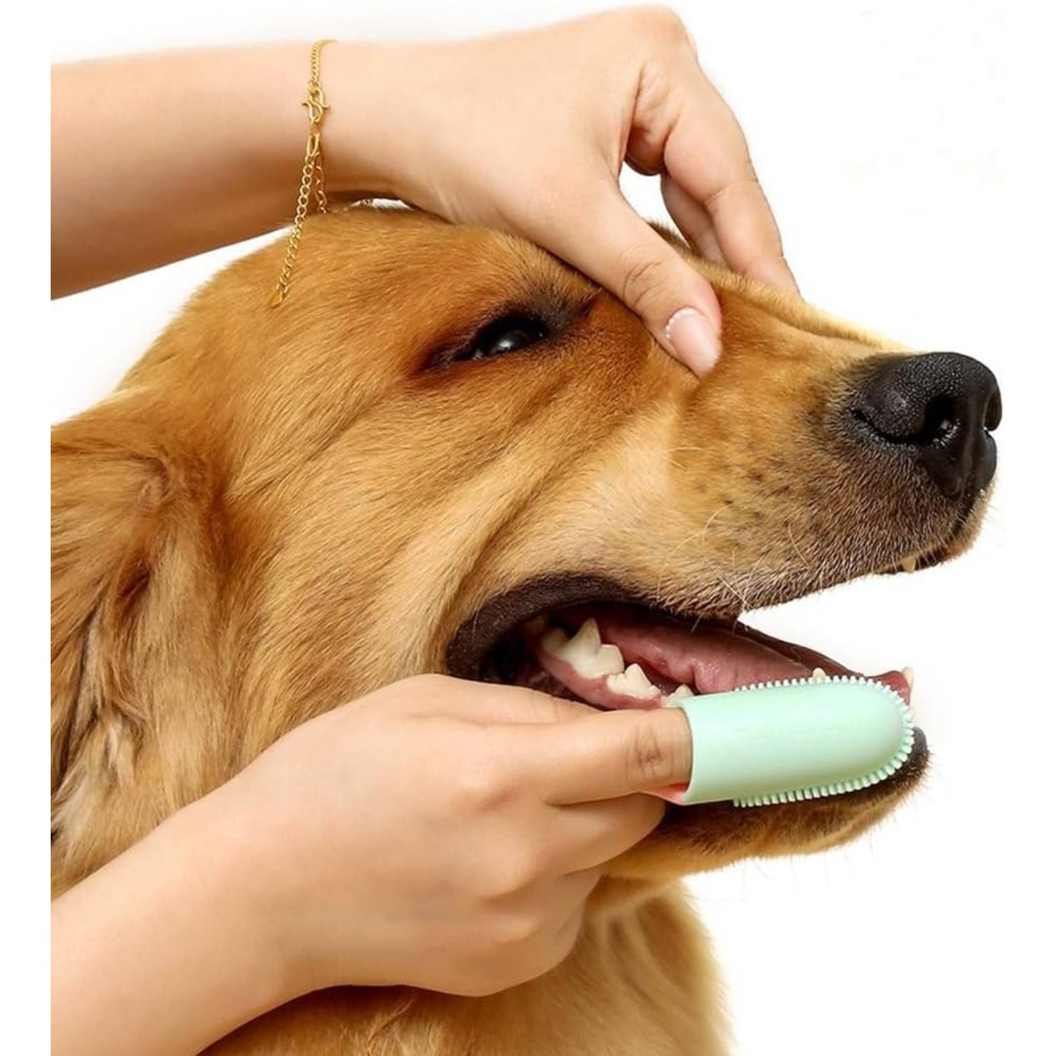 Brosse à Dents Souple pour Chien et Chat - Soin Dentaire 2pcs DtopbuyAge - Image 2