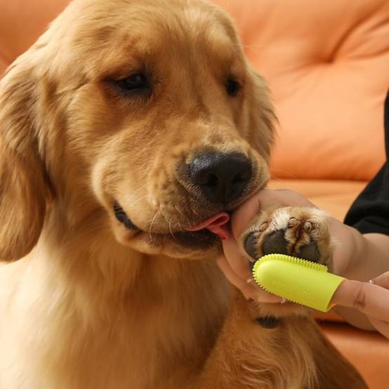 Brosse à Dents Souple pour Chien et Chat - Soin Dentaire 2pcs DtopbuyAge - Image 5