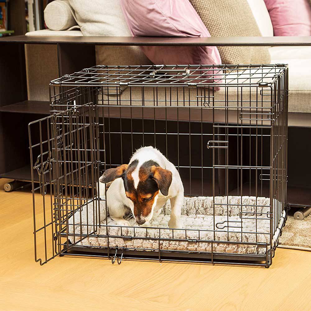 Ferplast - Ferplast Cage de transport pliable pour chiens DOG-INN 60, enclos pour chiots, transport en métal séparation inclus, porte double avec fermeture de - Imagen 4