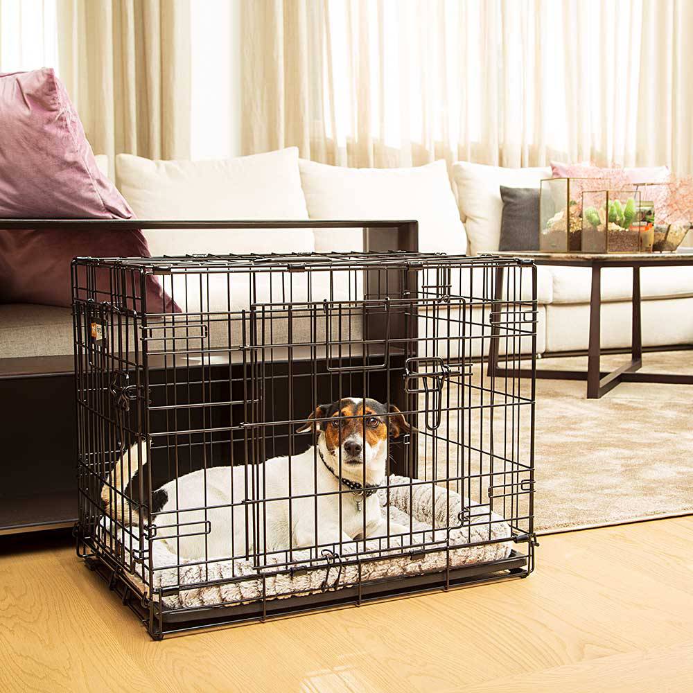 Ferplast - Ferplast Cage de transport pliable pour chiens DOG-INN 60, enclos pour chiots, transport en métal séparation inclus, porte double avec fermeture de - Imagen 3