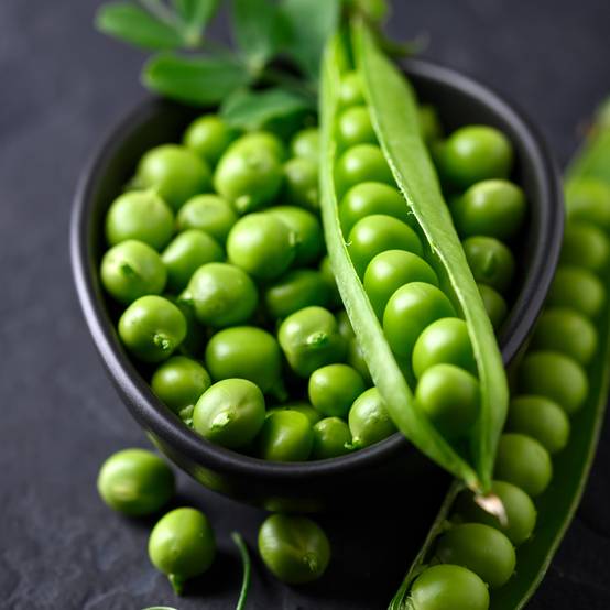 Promesse de Fleurs - Pois à rames Téléphone à grains ridés - Pisum sativum le sachet de 250-350 graines environ (100g)