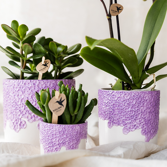 Cache-pot céramique en relief floral - courbes douces et coloris tendres - Pot de 9cm - lilas - Image 3