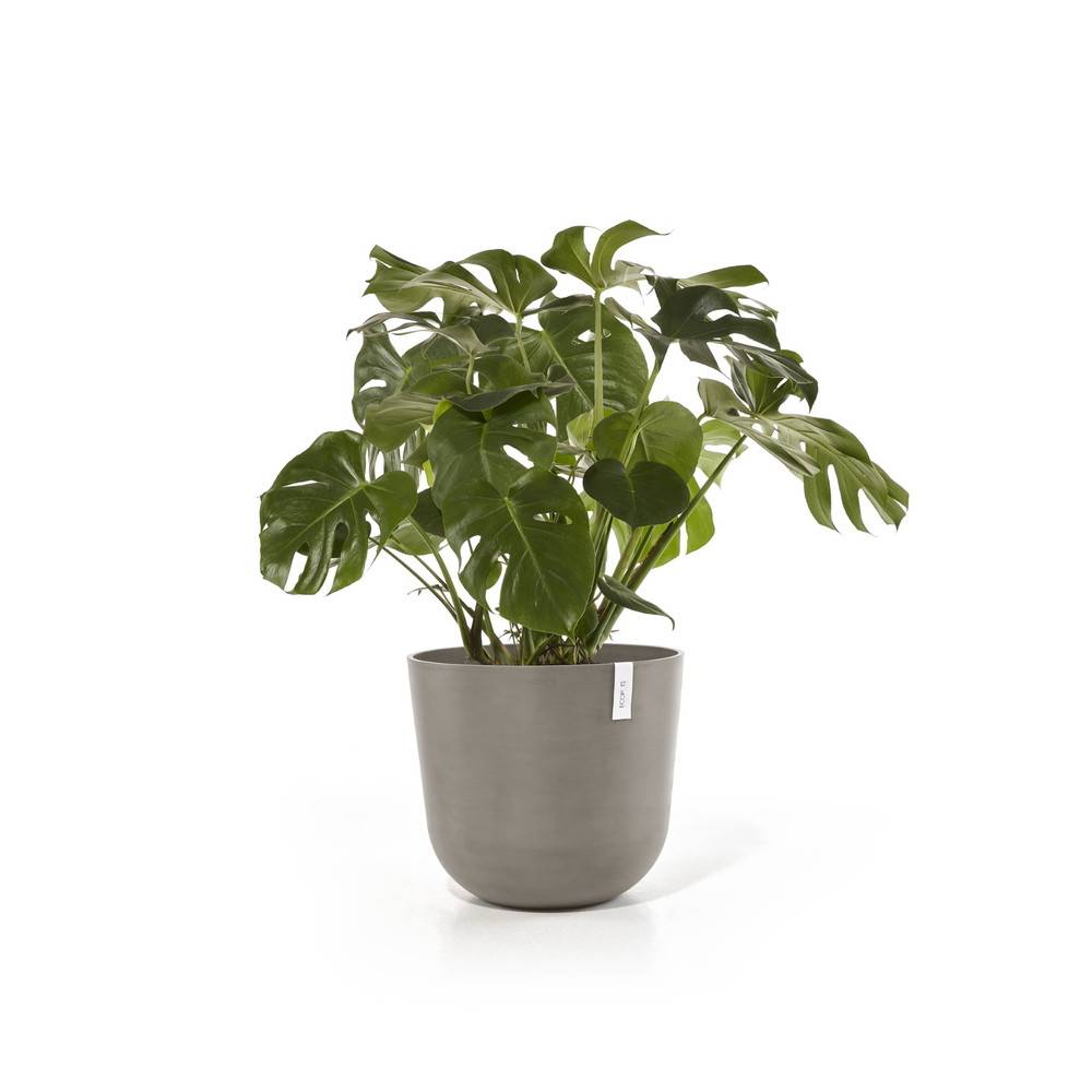 Ecopots - Pot Rond Oslo 55 Taupe - Ø 55 x H. 47,9 cm - 85,6 L ECOPOTS - Imagen 3