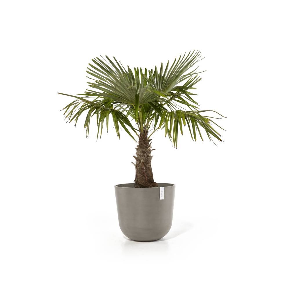 Ecopots - Pot Rond Oslo 55 Taupe - Ø 55 x H. 47,9 cm - 85,6 L ECOPOTS - Imagen 2