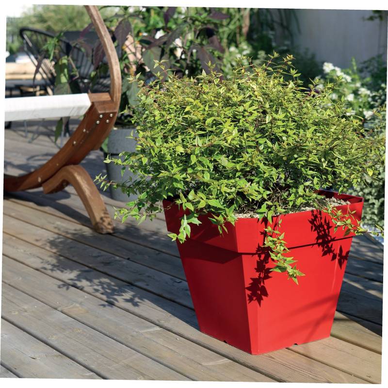 Riviera - Riviera Pot De Fleurs Carre Soleilla En Plastique - 49 X 49 X H 50 Cm - 65 L - Rouge - Imagen 3