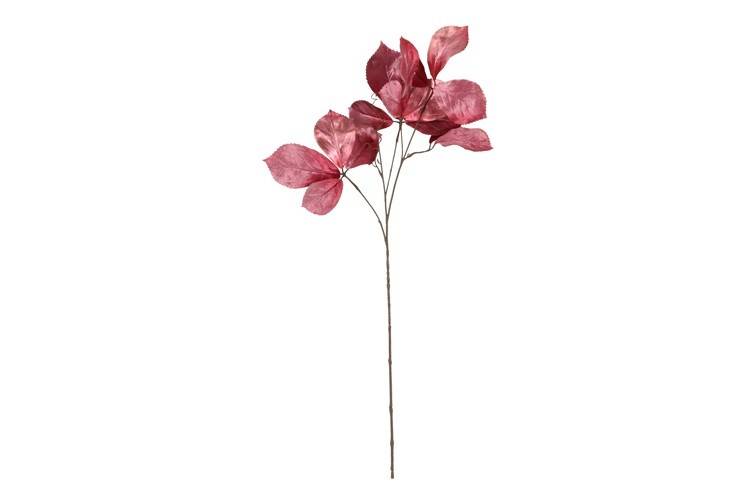 Feuille Parthenocissus S rose foncé-3,8x15x80CM