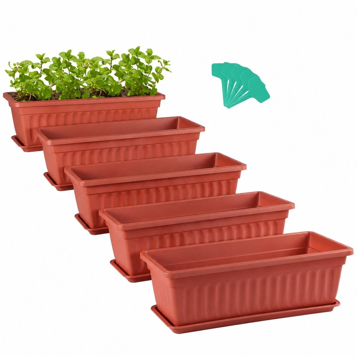 Jardinière Rectangulaire avec Bac et Étiquettes pour Plantes - Image 1