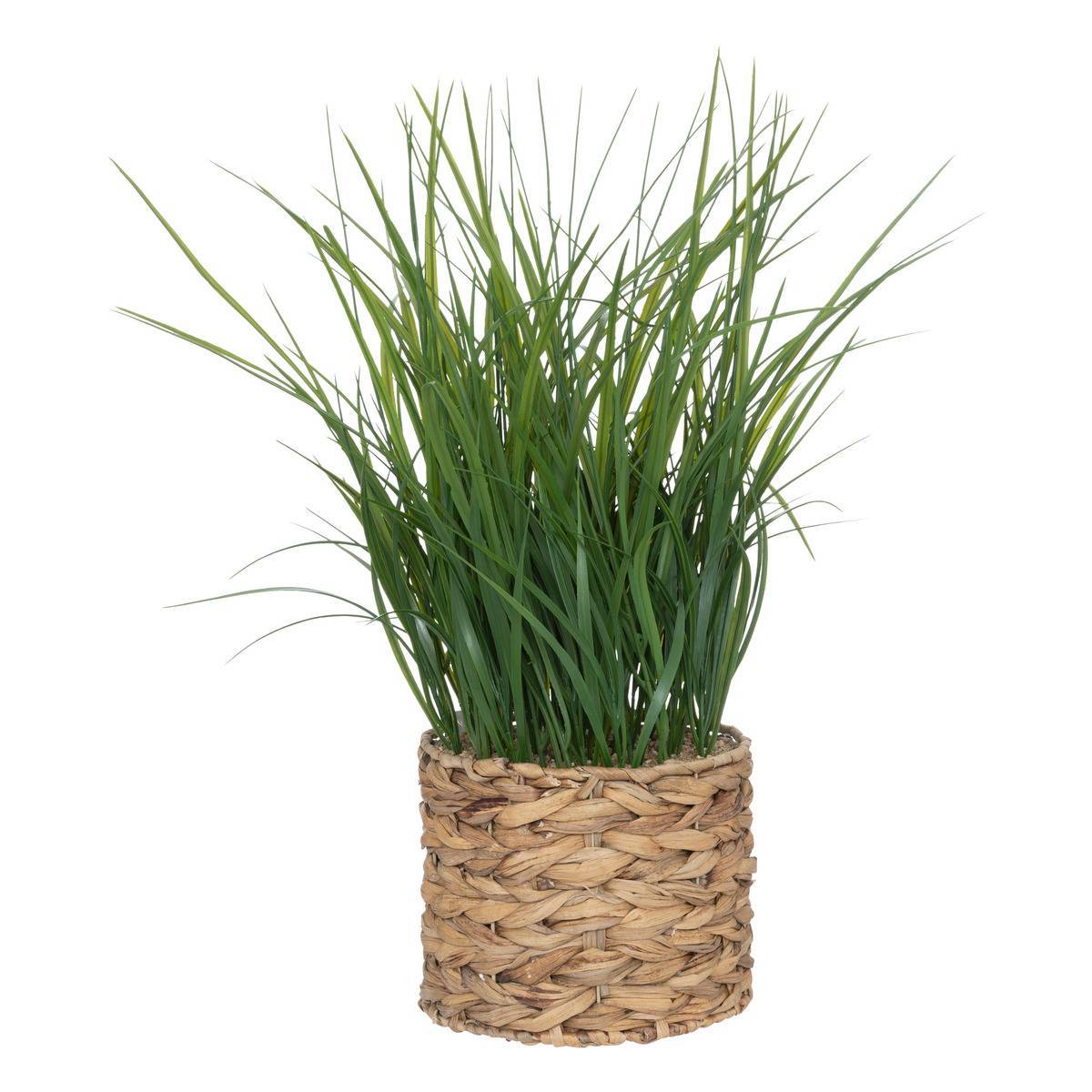 Atmosphera - Plante artificielle en pot en jacinthe d'eau H70cm - Atmosphera Créateur d'intérieur - Image 1