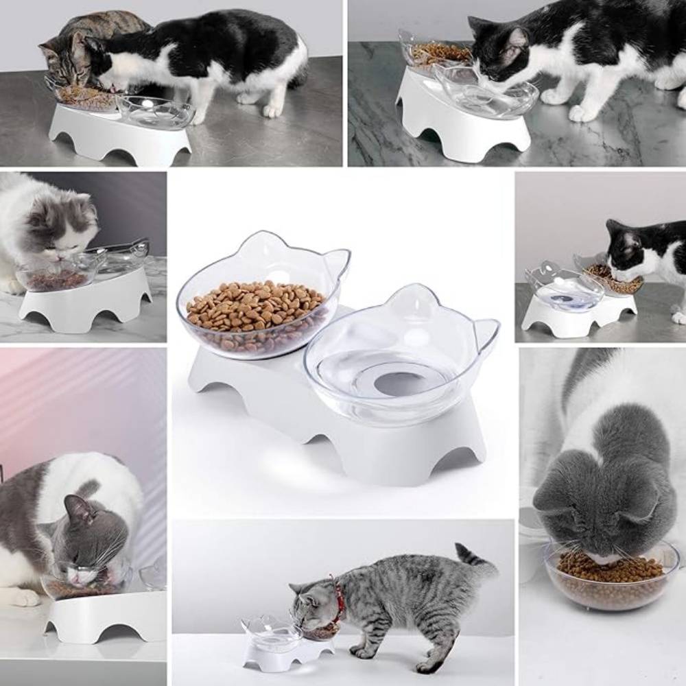 IntiMeg - Gamelle surélevée pour chat IntiMeg - Image 4