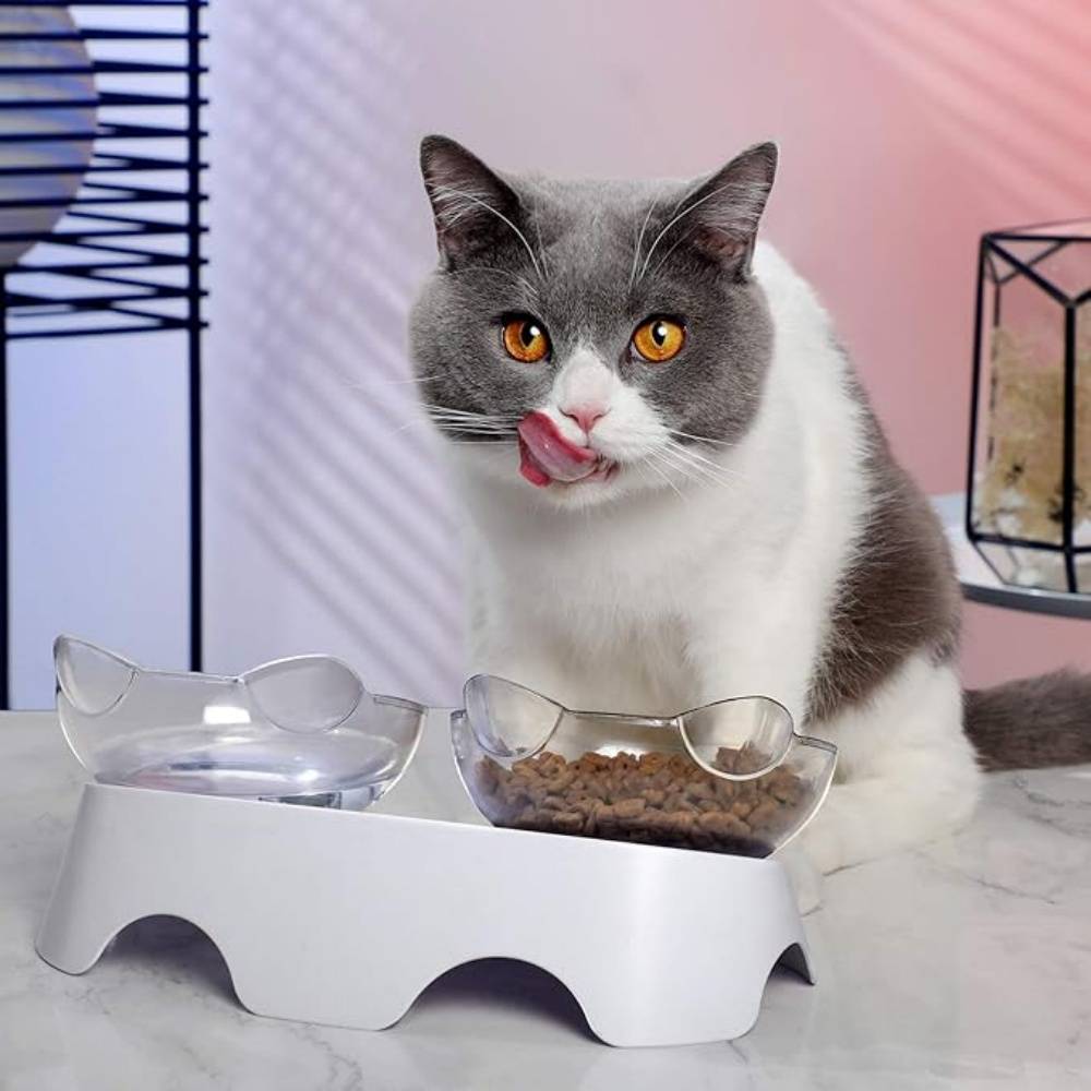 IntiMeg - Gamelle surélevée pour chat IntiMeg - Image 5