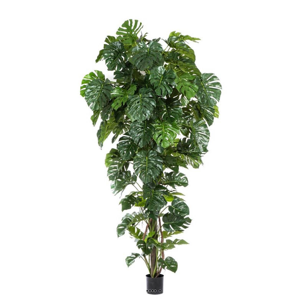 Artificielles - Superbe philodendron Monstera tropical haut 156 feuilles en pot H 280 cm top - dimhaut: H 280 cm - couleur: Vert été
