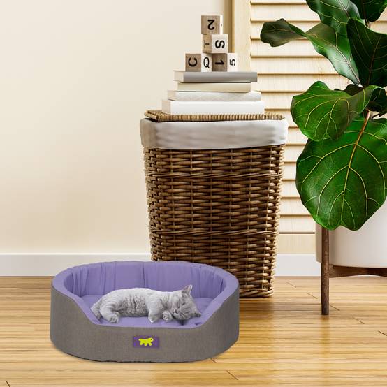 Ferplast - Ferplast Panier Chien Dandy, Coussin Amovible et Lavable, Housse en Coton avec Rembourrage Doux, Idéal également comme Niche pour Chat, 45 x 35 x H 13 - Imagen 3