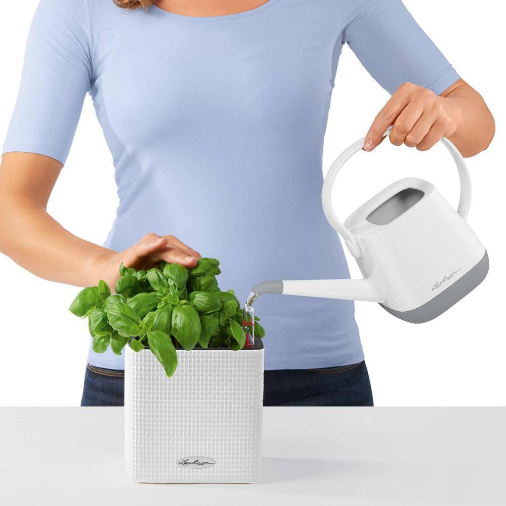 Lechuza - CUBE Color 14 - Kit Complet, blanc 14 cm Lechuza - Imagen 6
