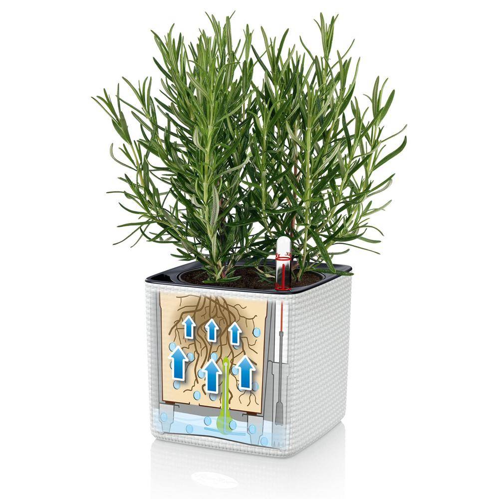 Lechuza - CUBE Color 14 - Kit Complet, blanc 14 cm Lechuza - Imagen 5