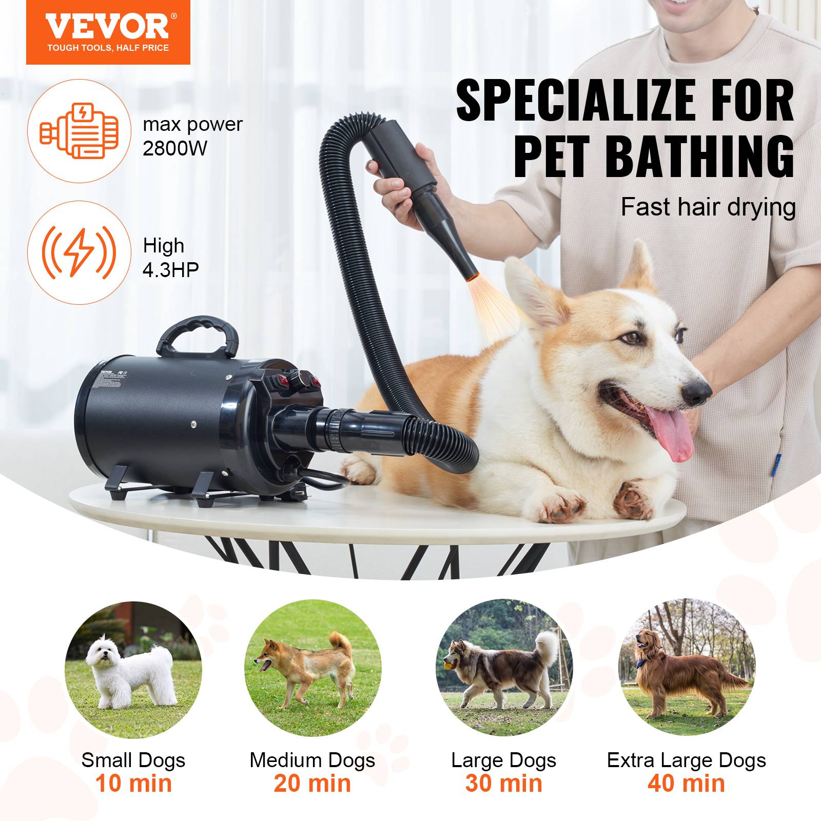 VEVOR Pulseur pour Chien 2000W, Vitesse/Température Réglables, 4 Buses, Tuyau Extensible. - Image 2