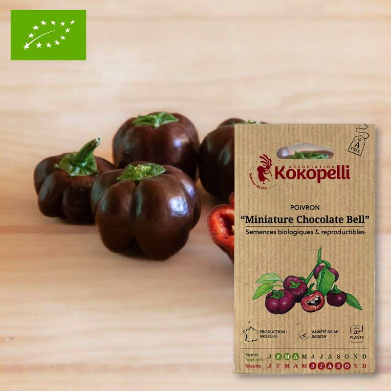 Poivron Miniature Chocolate Bell- Graines bio à semer