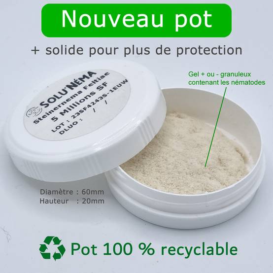 Solunéma - Kit complet anti-mouche du terreau - 5 millions nématodes (SF) + pulvérisateur 2 L+ 10 pièges jaunes collants XXL - Image 3