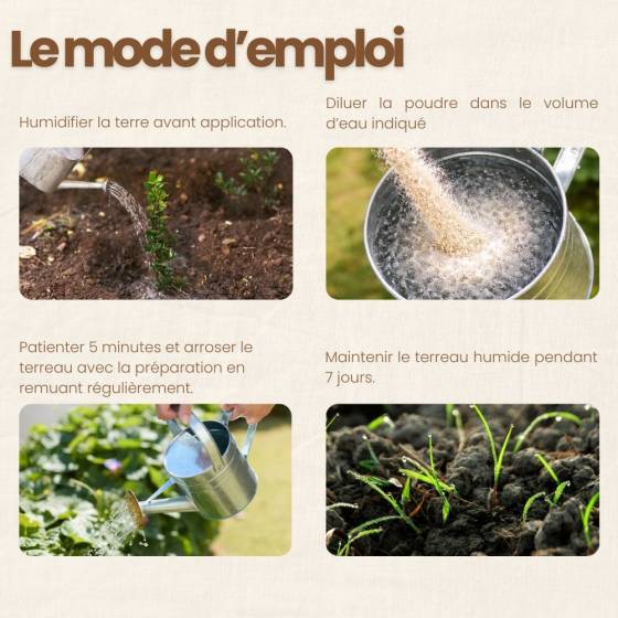 achatnature - Nématodes SF contre thrips - 5 millions - 25 pots - Image 4
