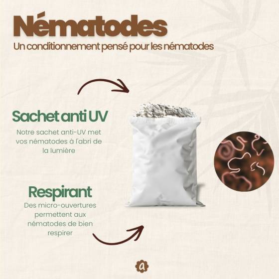 achatnature - Nématodes SF contre thrips - 5 millions - 25 pots - Image 2