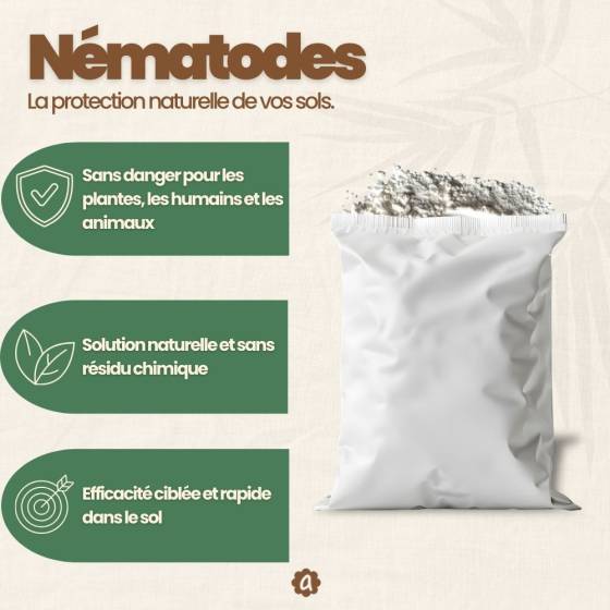 achatnature - Nématodes SF contre thrips - 5 millions - 25 pots - Image 3
