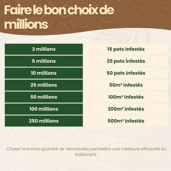 achatnature - Nématodes SF contre thrips - 5 millions - 25 pots - Image 7