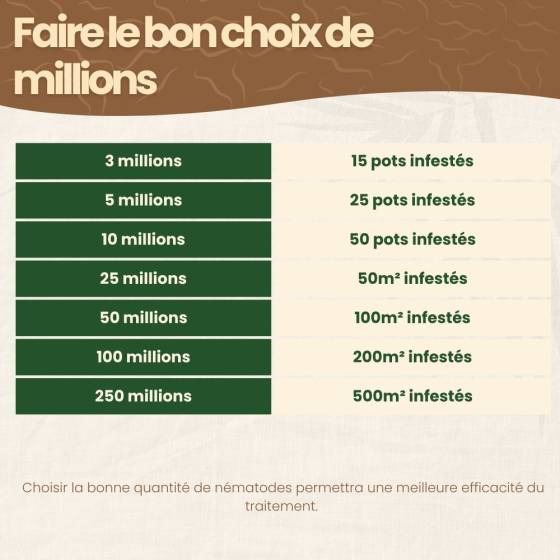achatnature - Nématodes SF contre thrips - 5 millions - 25 pots - Image 7