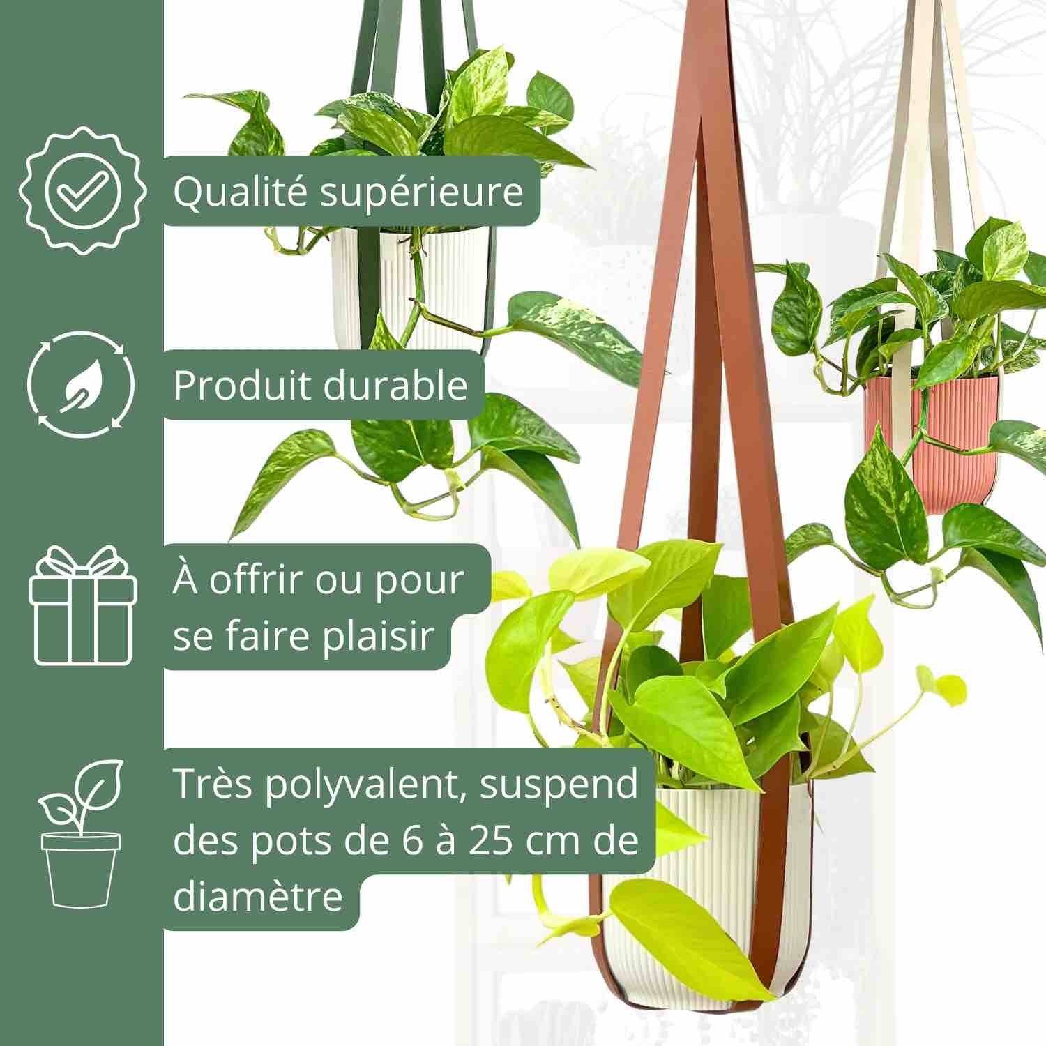 Offre Duo - X2 Suspensions pour plantes en similicuir + crochets en métal offerts ! - Vert impérial