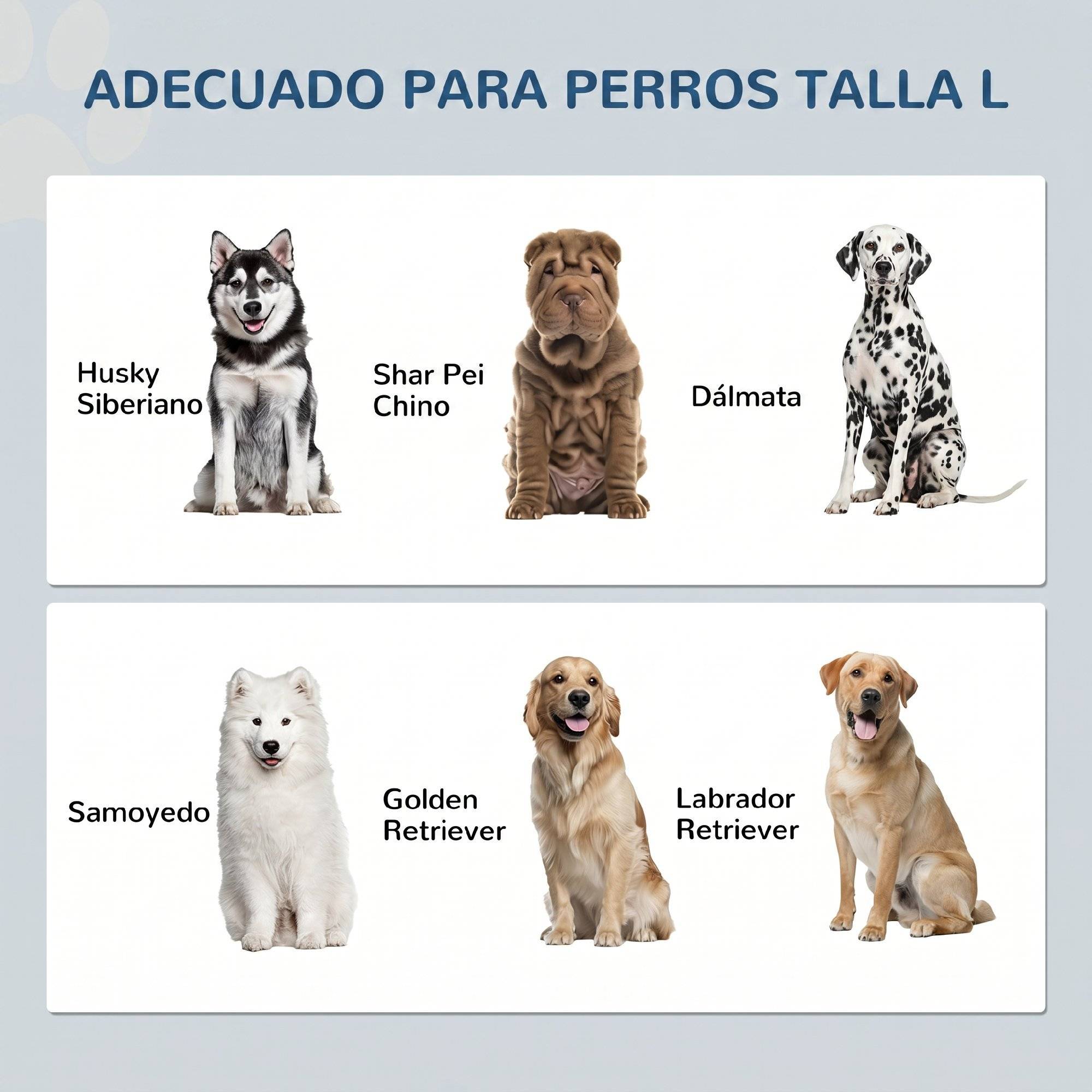 Gamelle surélevée pour chien avec 2 bols en acier inoxydable (2 x 2 L), un espace de rangement de 37 L et 2 portes à loquet, blanche. - Image 9